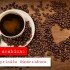 Káva arabica