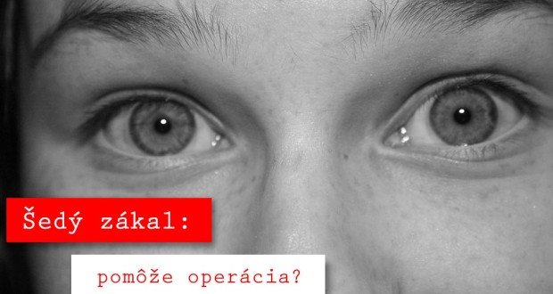 Šedý zákal