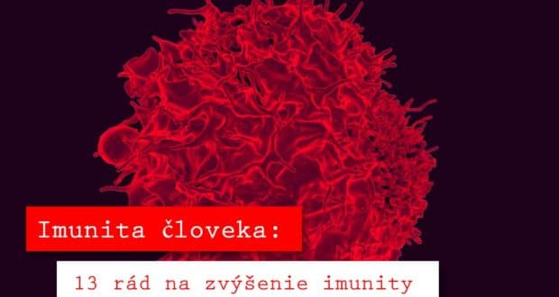 T lymfocyty