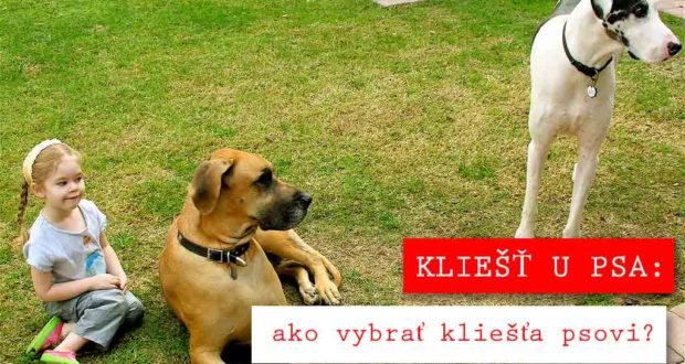 KLIEŠŤ U PSA