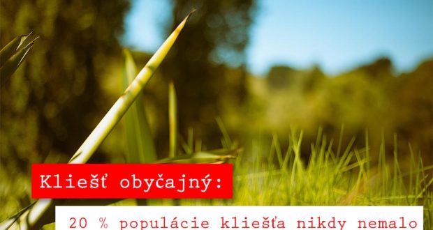 Kliešť obyčajný v lese