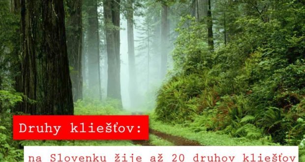 Les a kliešť